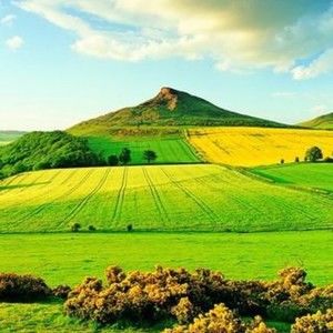 Meet your Posher, Bryan